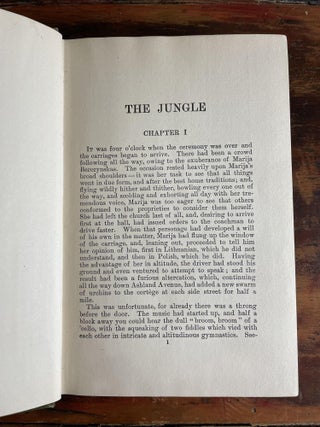 The Jungle