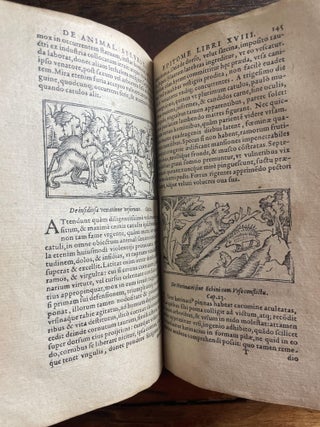 Historia de Gentibus Septentrionalibus