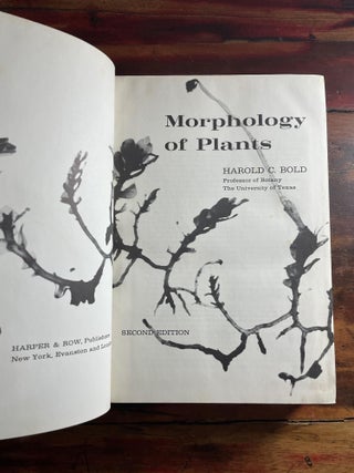 Morphology of Plan