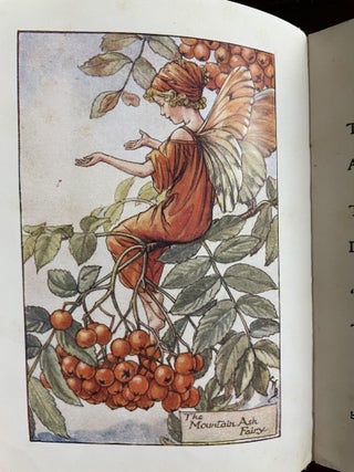 Flower Fairies of the Autumn