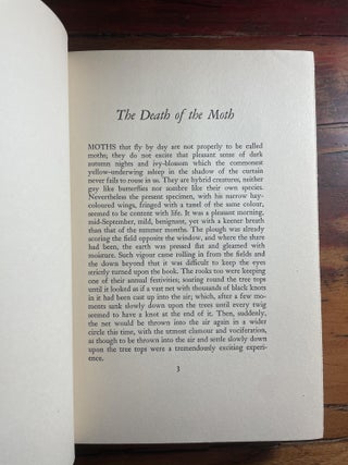 The Death of the Moth