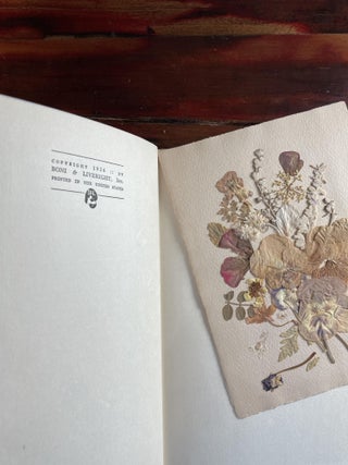 Sherwood Anderson's Notebook