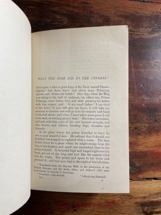 The Brown Fairy Book